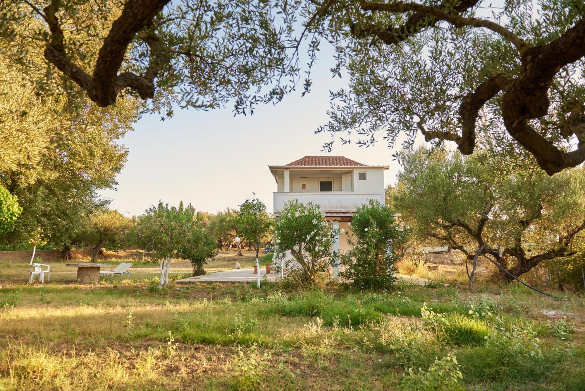 Villa Rania / Zante Drosia Kypseli Zewnętrze zdjęcie