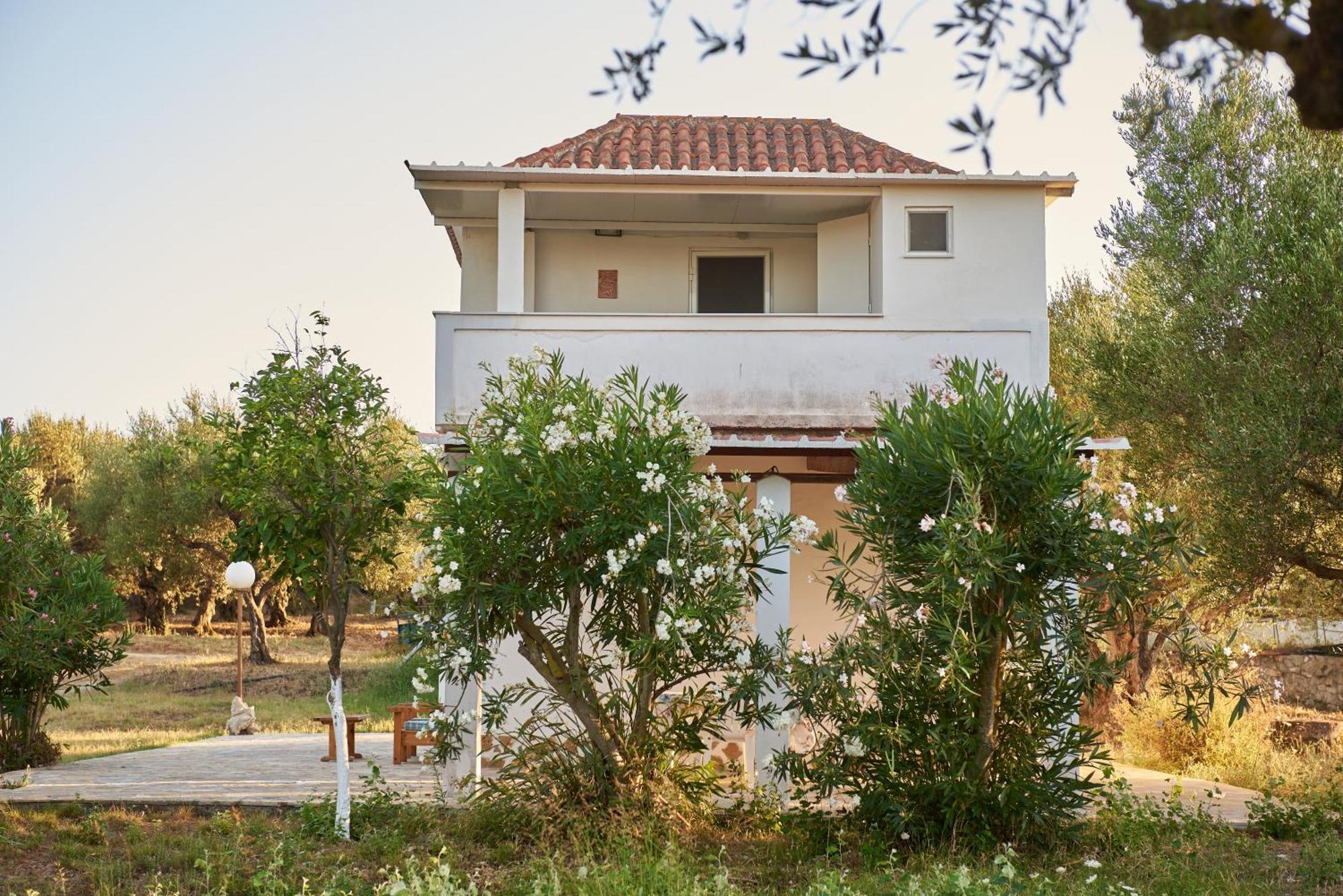 Villa Rania / Zante Drosia Kypseli Zewnętrze zdjęcie