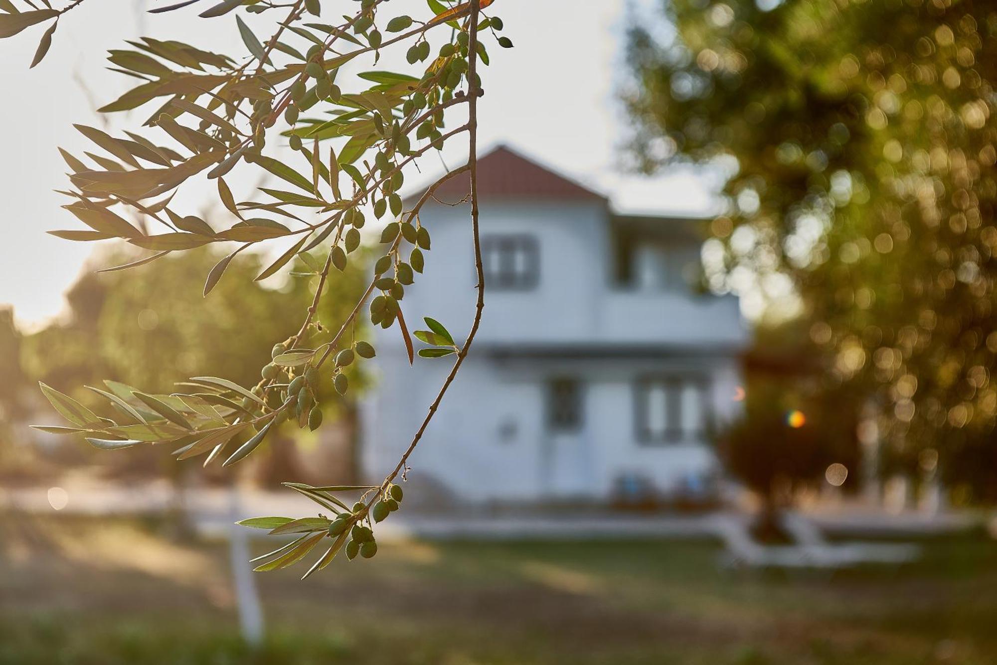 Villa Rania / Zante Drosia Kypseli Zewnętrze zdjęcie