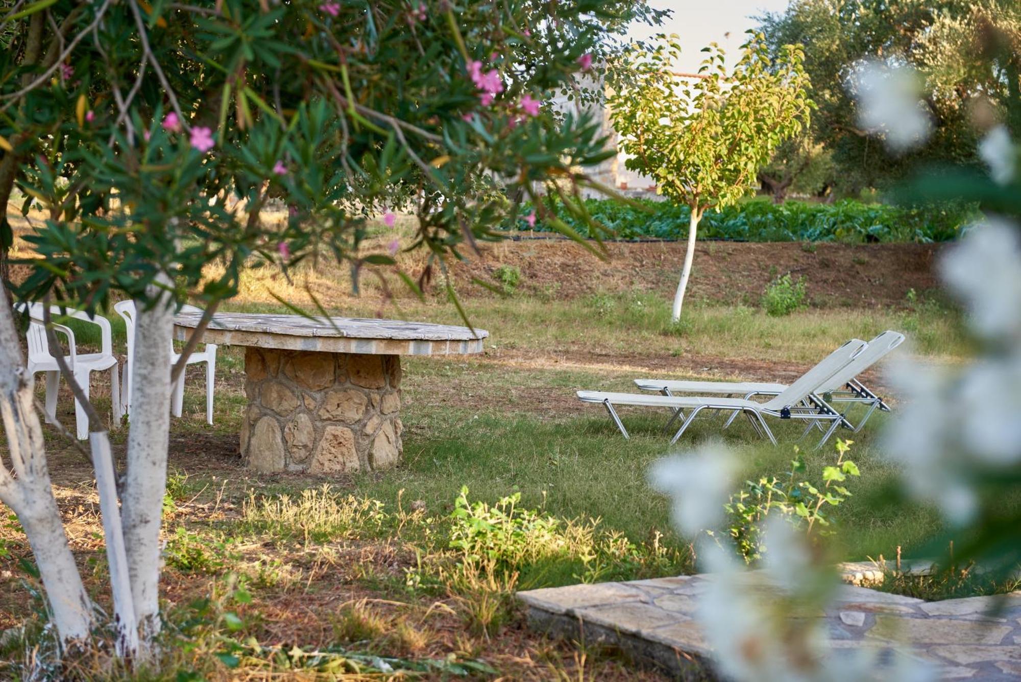 Villa Rania / Zante Drosia Kypseli Zewnętrze zdjęcie