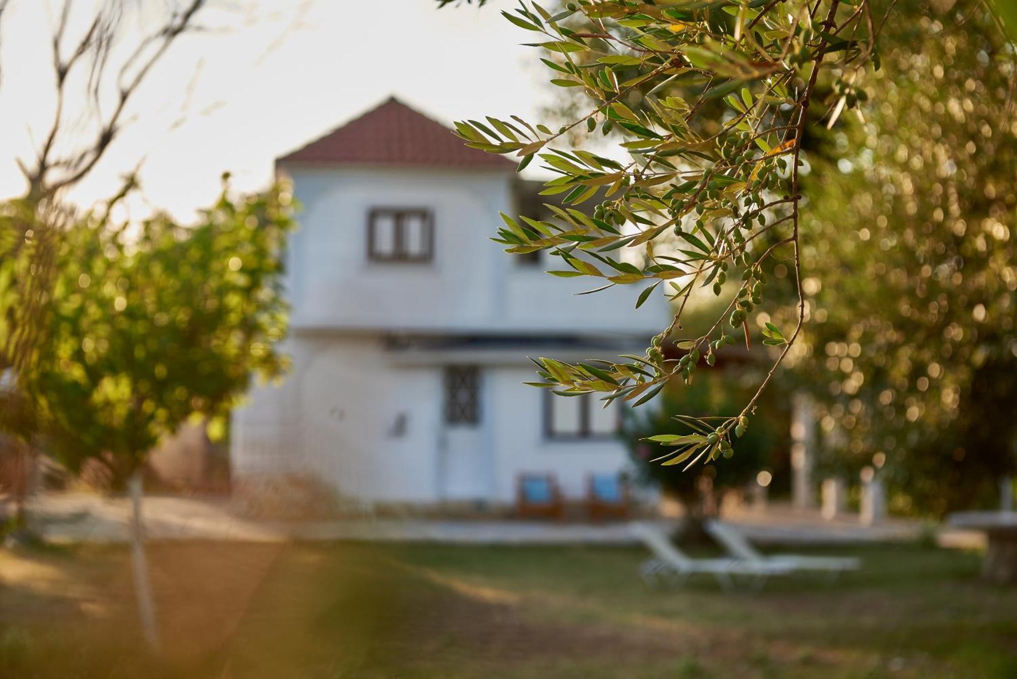 Villa Rania / Zante Drosia Kypseli Zewnętrze zdjęcie