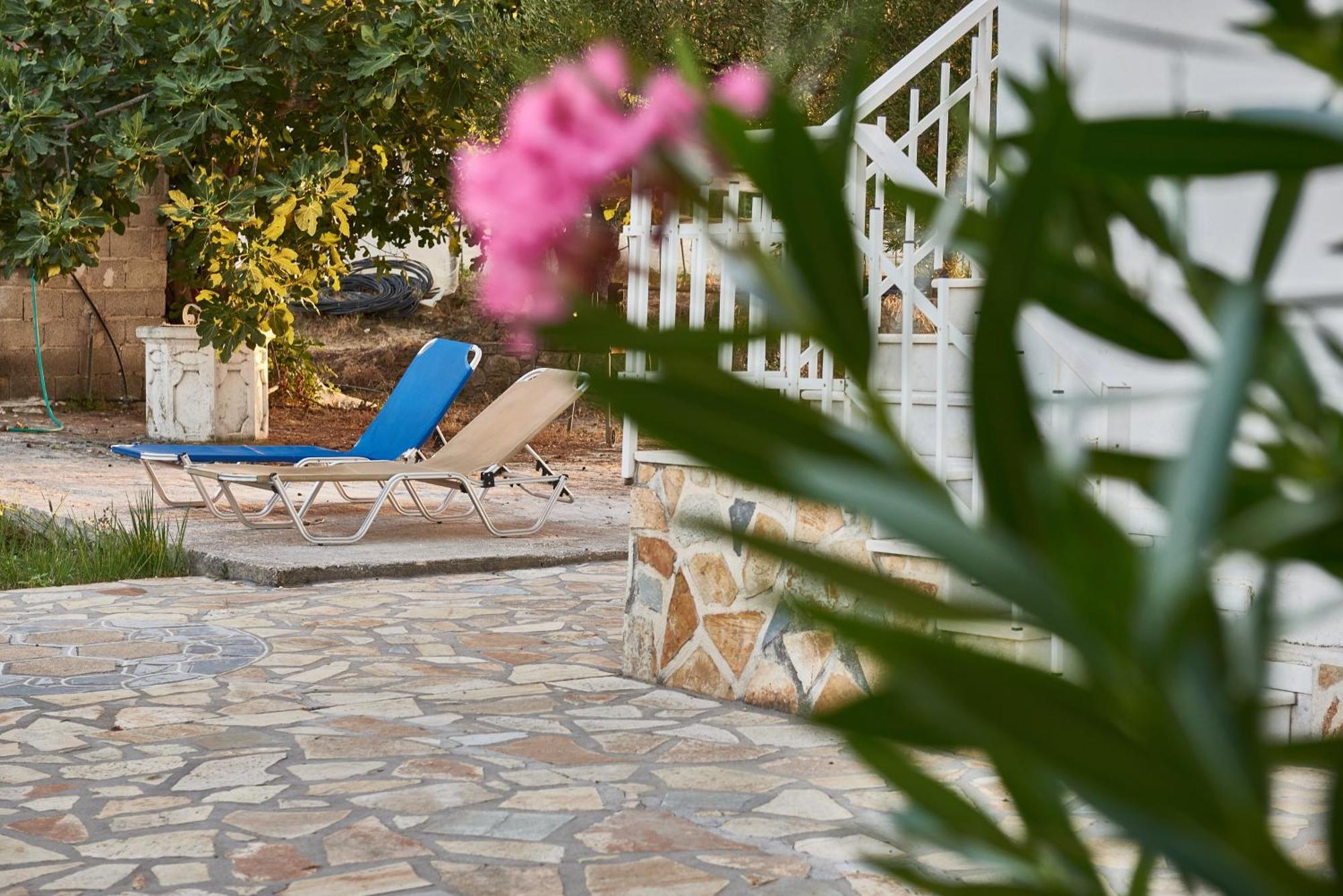 Villa Rania / Zante Drosia Kypseli Zewnętrze zdjęcie
